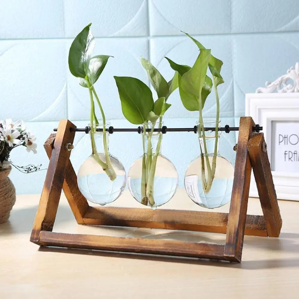 support plantes verre transparent bois clips métalliques moderne rustique décoration intérieure vases hydroponie