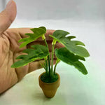 plantes miniatures pots terre cuite feuilles vertes roses oranges décoratives maison poupée