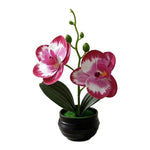 Orchidée artificielle taches violets feuilles vertes pot noir décoration intérieure moderne chambre salon