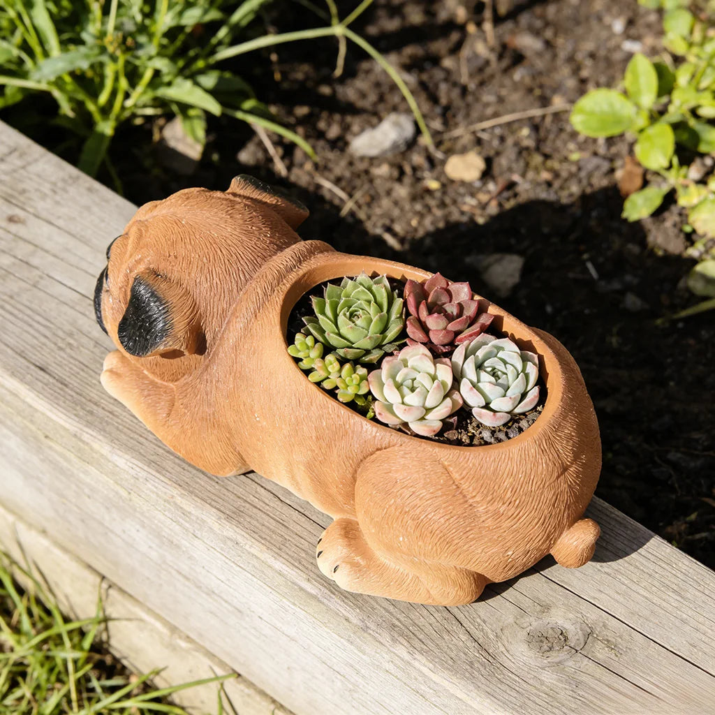 pot fleurs succulentes forme chien mignon décoration maison jardin animalier réaliste pastoralement