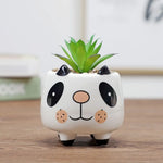 jardinière céramique cache pot succulente visage cartoon blanc orange rose gris noir