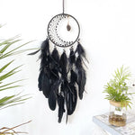 Un attrape-rêves noir orné de plumes et de pierres dans un style bohème et mystique, suspendu au mur à côté de plantes vertes.