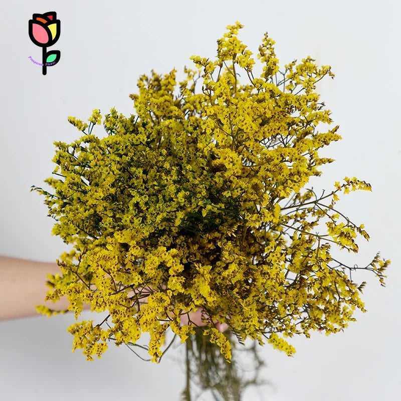 bouquet fleurs séchées violet rose vert jaune blanc modernes vase blancintérieur décoration bohème nordique