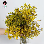 bouquet fleurs séchées violet rose vert jaune blanc modernes vase blancintérieur décoration bohème nordique