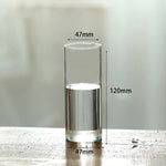vase verre transparent moderne décoration intérieure chambre fleurs artificielles inclusion hydroponique