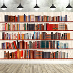 bibliothèque murale moderne rayées couleurs vives livres décorative grande taille