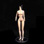 support poupée articulé plastique beige classique figurines 1/6 tringle base circulaire transparent