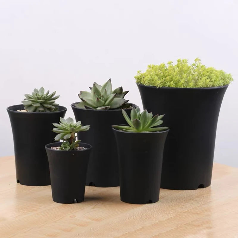 pot fleur plastique noir mat moderne plantes vertes succulentes jardin décoration maison