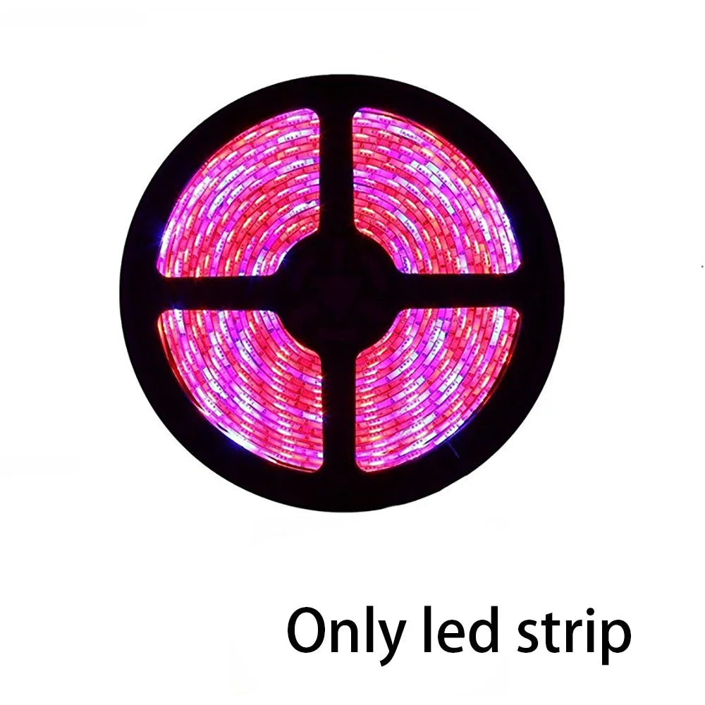 ruban led culture végétale 12v rouge rose blanc moderne télécommande adaptateur électrique