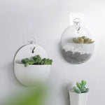 plante murale moderne pot osier suspendu décoration intérieure transparent succulente minimaliste