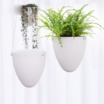 pots suspendus plantes blancs moderne forme œuf lisse acier coton fougères succulentesintérieur jardinVERTES