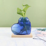 vase verre forme cœur transparent moderne plante verte support bois