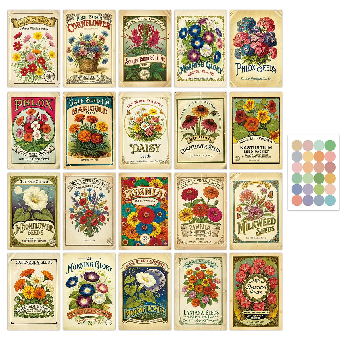 posters fleurs vintage botaniques papier jauni motifs floraux phlox cosmos zinnias marguerites papillons chevalets
