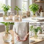 vases hydroponiques transparents modernes plantes tables jardins décoration bureaux