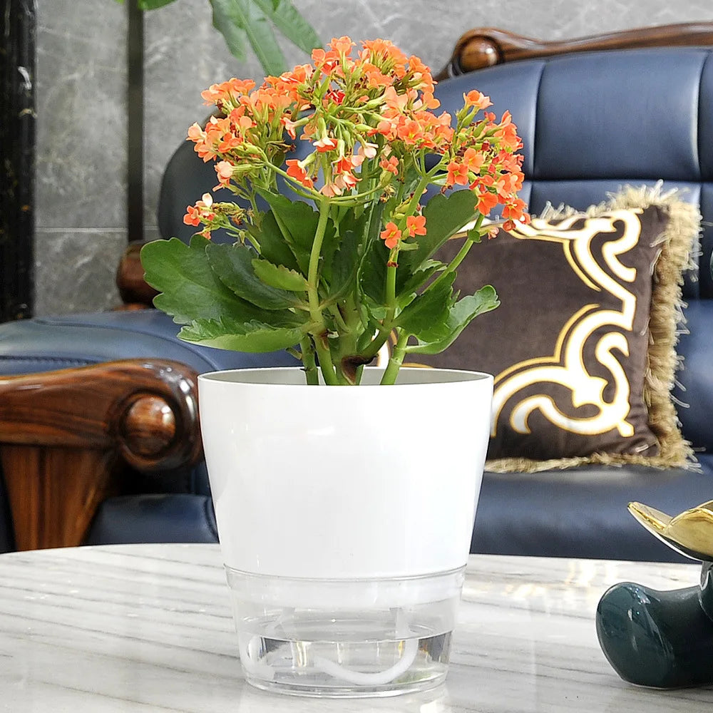 pot fleurs transparent bas blanc rose pâle vert clair moderne annuaire flexible