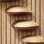 étagère murale moderne plateaux coquillage texture bois géométrique accessoire maison salon minimaliste