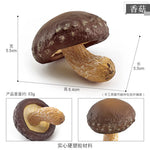 miniatures champignons réalistes photographie accessoires gris rouge blanc marron opaques pastoralesextérieur