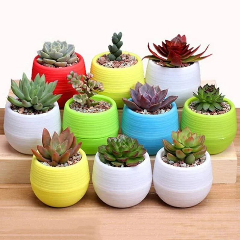 pots fleurs plastique rouge vert jaune bleu blanc noir modernes assiettes base