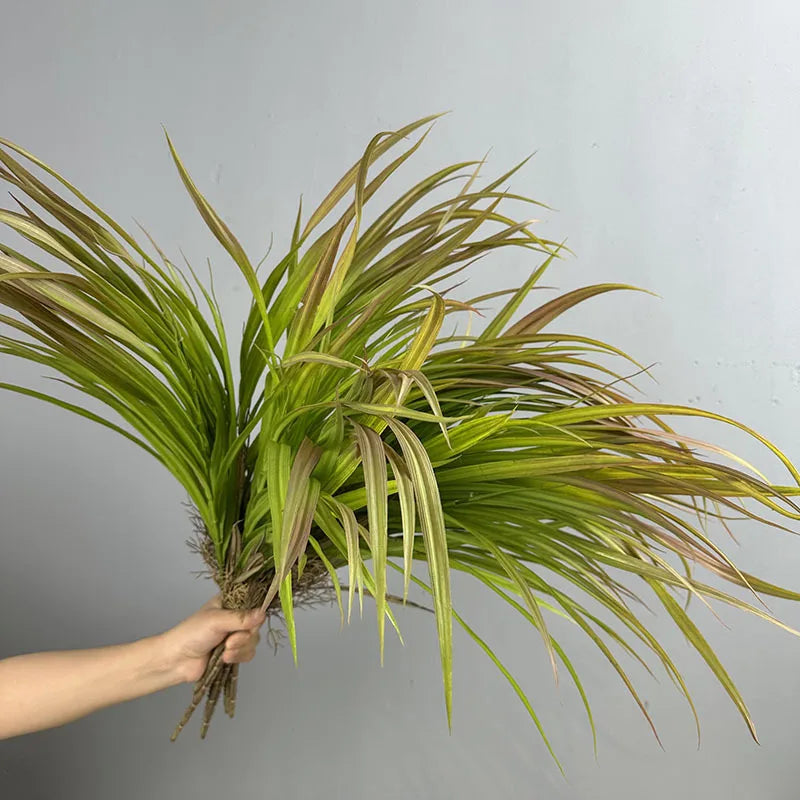 décoration intérieure plante artificielle herbe naturelle vase céramique feuilles vertes longues maison festive