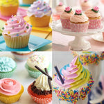poche pâte silicone réutilisable 24 buses aiguilles métalliques outil pâtisserie