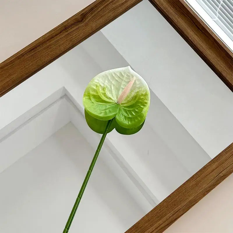 décoration intérieure plante artificielle feuilles ovales moderne vase boîte enjoy life rouge vert blanc
