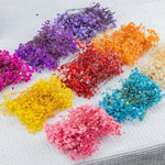 fleurs séchées bouquets multicolore violet orange rouge naturel rustique décoration maison artisanat diysortie