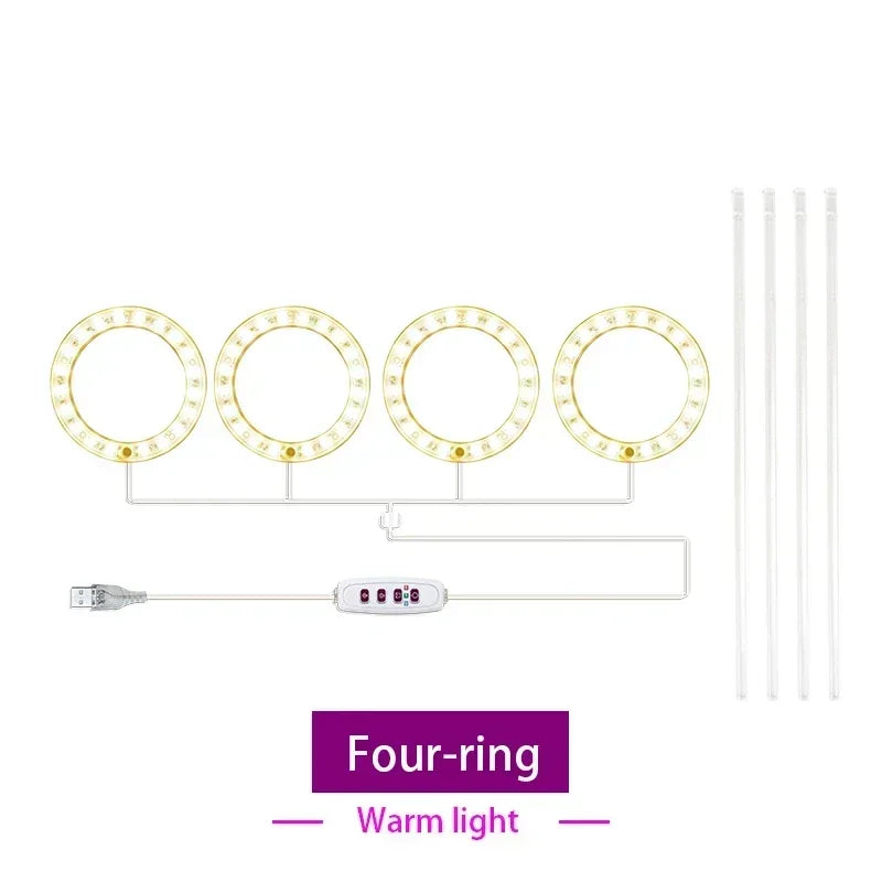lumière croissance led usb rechargeable rose bleu blanc moderne minimaliste