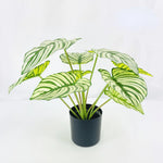plante artificielle décorative feuilles vertes blanches rouges salon maison moderne naturel