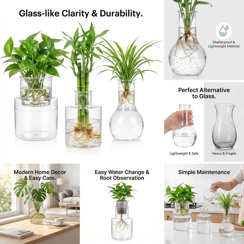 vases hydroponiques transparents modernes plantes tables jardins décoration bureaux