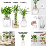 vases hydroponiques transparents modernes plantes tables jardins décoration bureaux