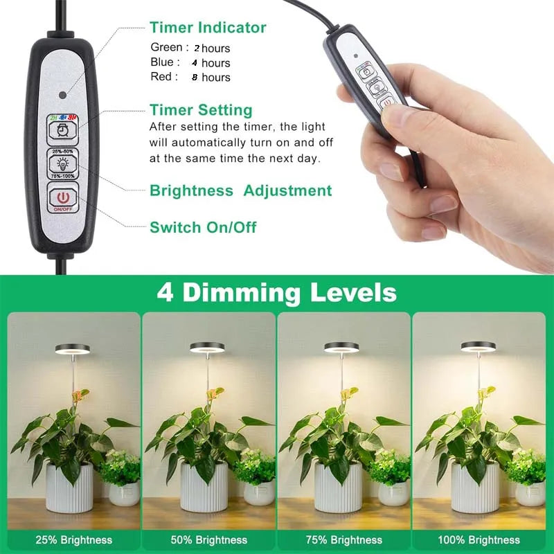 lampe led plante noire blanche réglable hauteur bouton variateur moderne minimaliste piquet câble usb