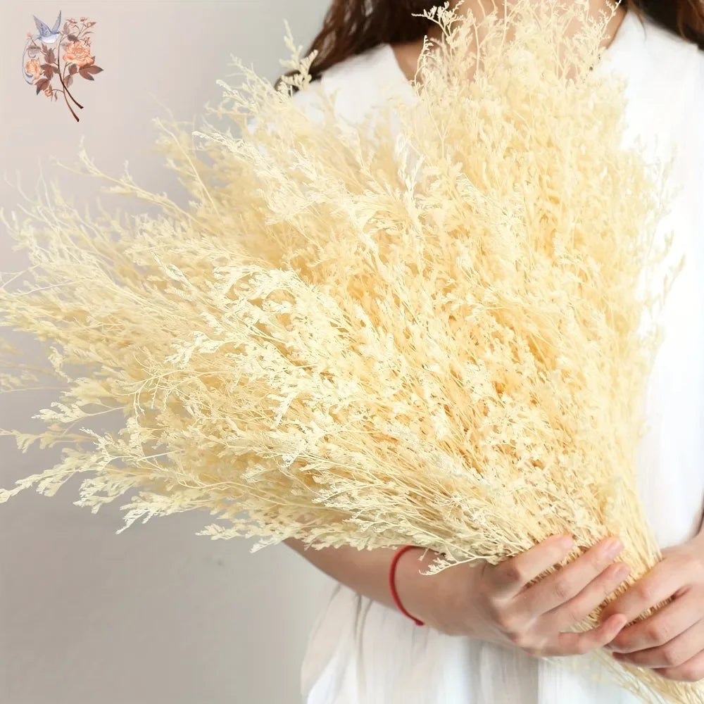 bouquet fleurs séchées limonium naturel beige clair décoration mariage maison rustique fleurs naturelles séchées