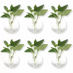 vases suspendus verre transparent modernes minimalistes adhésifs plantes intérieures