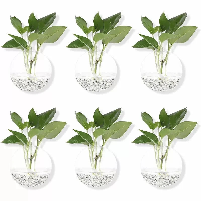 vases suspendus verre transparent modernes minimalistes adhésifs plantes intérieures