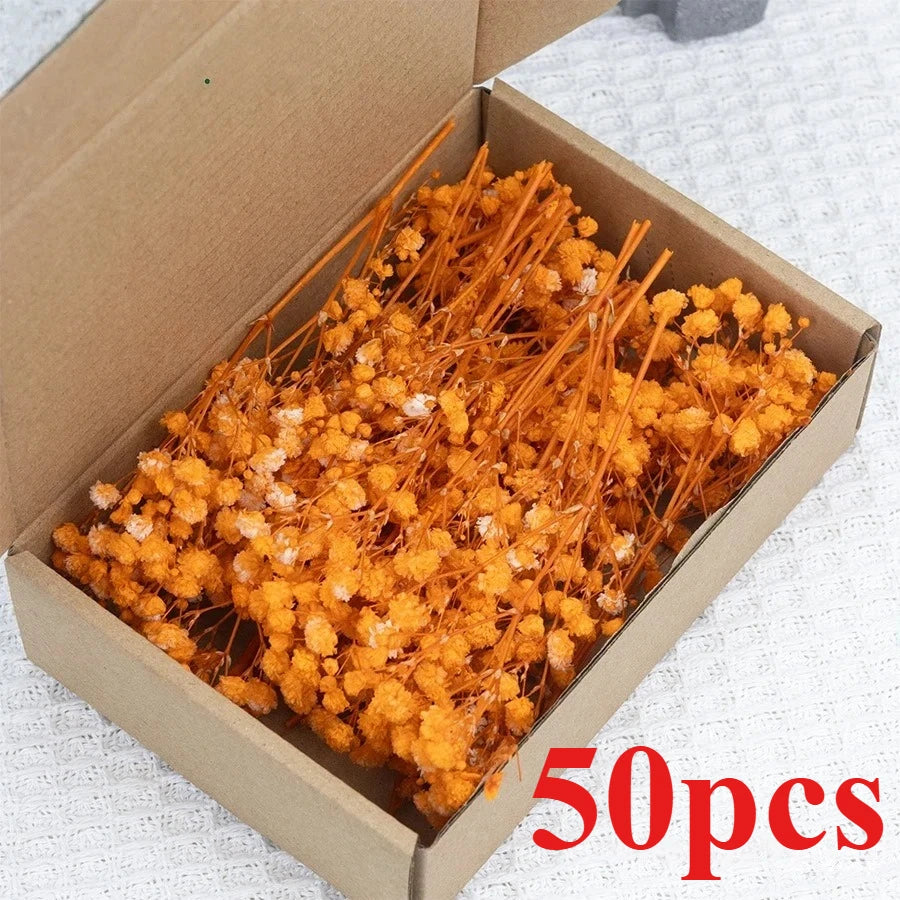 fleurs séchées bouquets multicolore violet orange rouge naturel rustique décoration maison artisanat diysortie