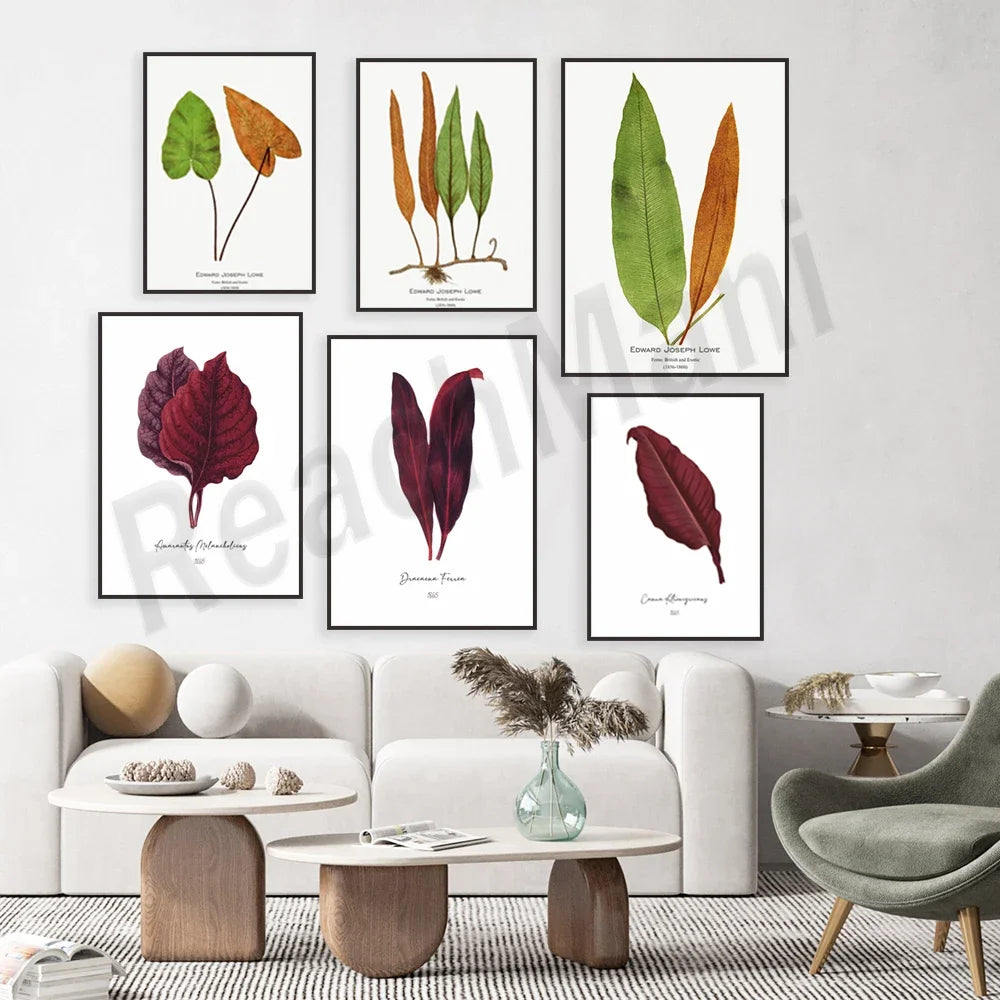 Cette image présente une collection de six affiches botaniques mettant en valeur différentes feuilles vertes et rouges avec des noms latins. Les affiches sont encadrées et accrochées sur un mur blanc, avec un salon décoré dans des tons naturels.