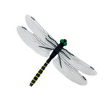 décoration extérieure dragonfly répulsif moustiques naturel sans chimie vert translucide jardin tringle