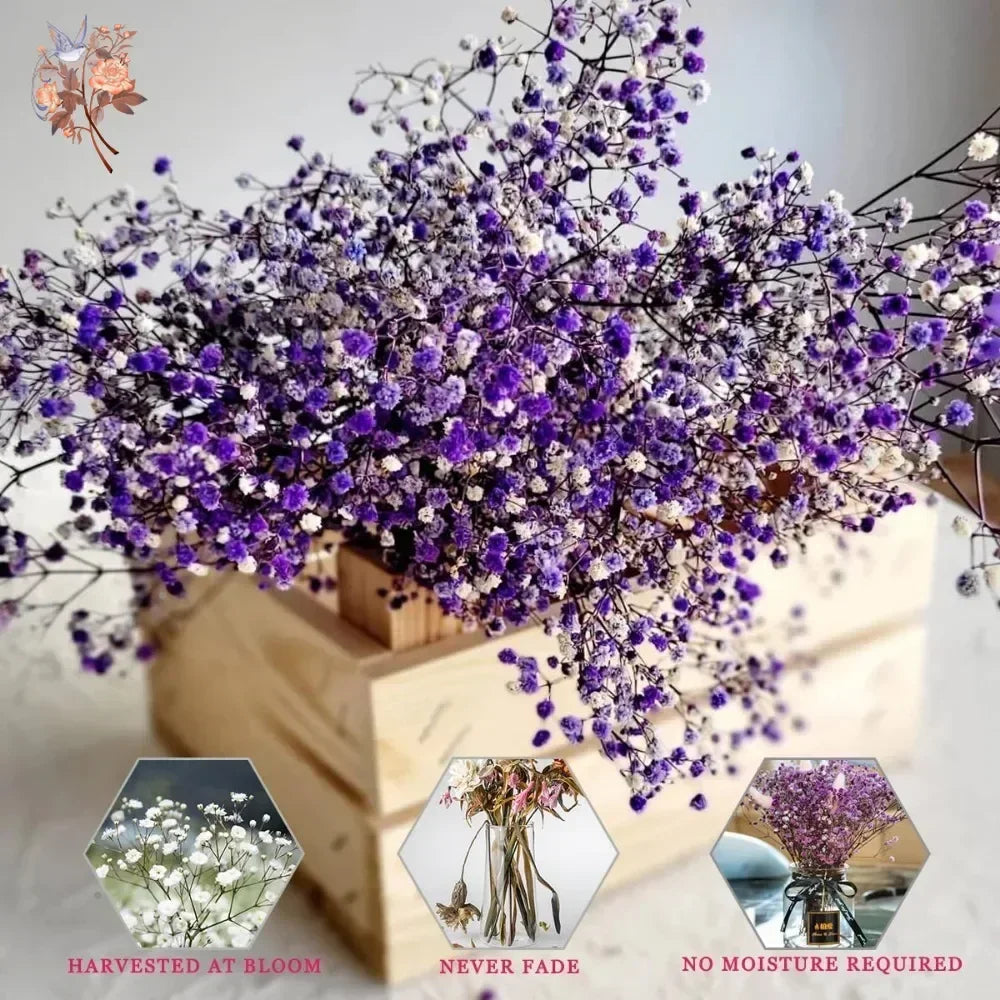 bouquet fleurs séchées violettes blanches modernes décoration intérieure anniversaire mariage baby shower