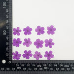 fleurs séchées violet rose blanc décor maison DIY craft nail art maquillage artisanales kit
