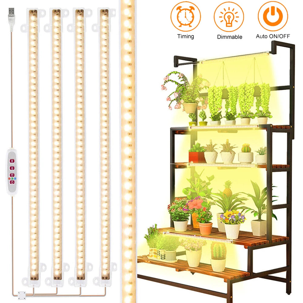 éclairage led plante 3000k têtes 30 50cm blanc vis contrôleur distant
