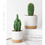 pots plante blanc beige minimaliste grille drainage auto arrosage classique non enduit adhésif