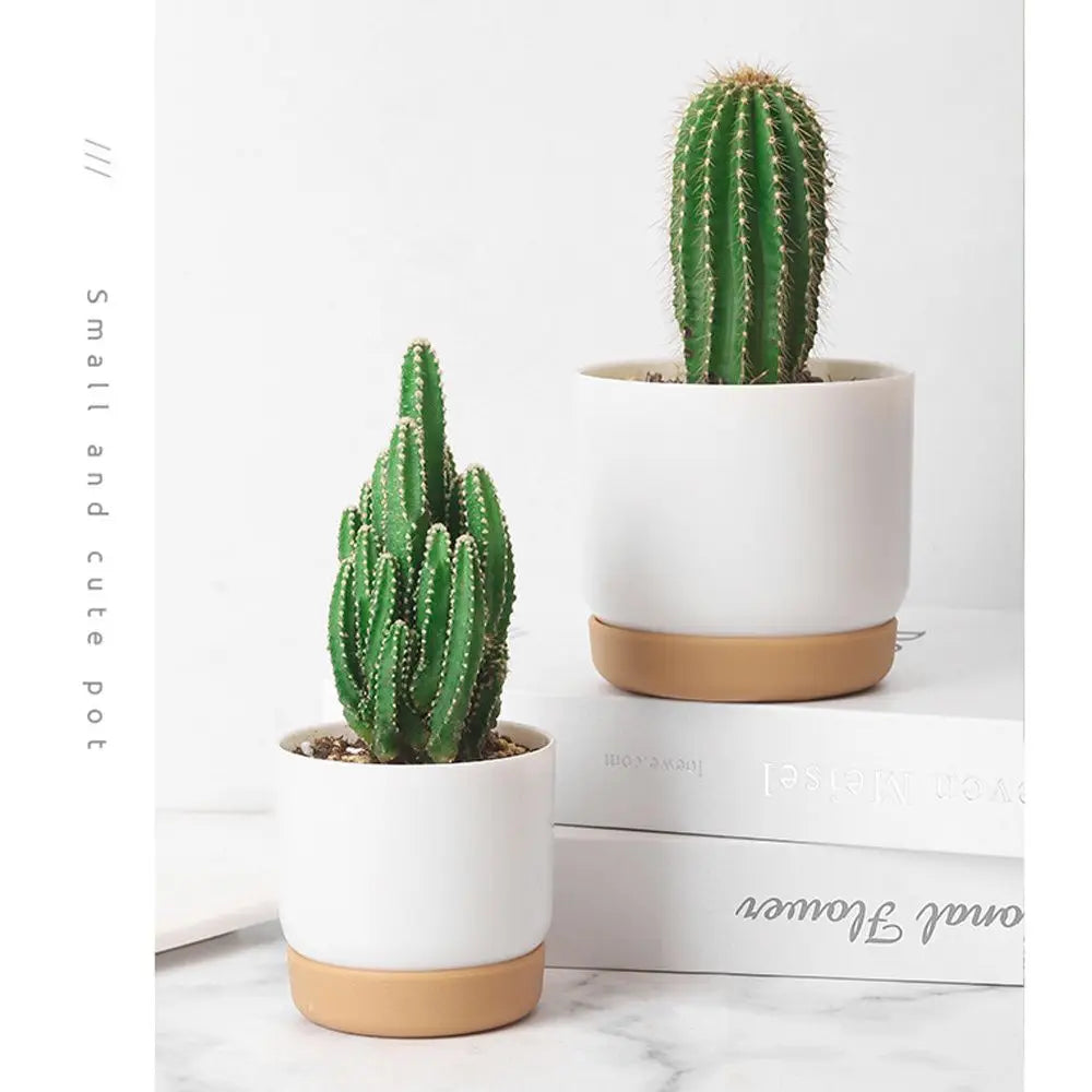 pots plante blanc beige minimaliste grille drainage auto arrosage classique non enduit adhésif
