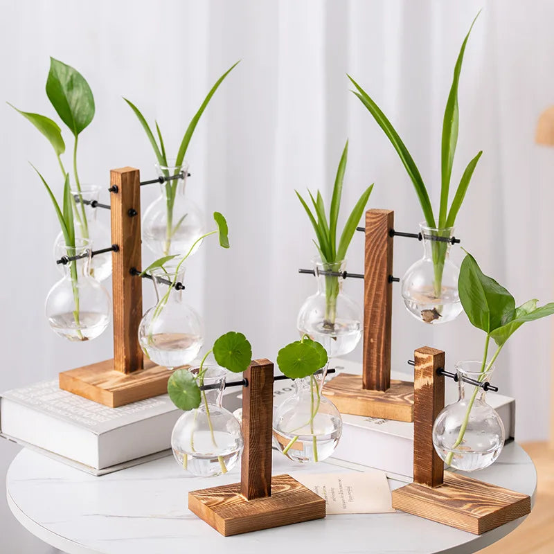 support plantes verre moderne transparent bois naturel clips métalliques vase décoratif minimaliste