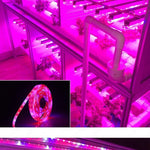 ruban led culture végétale 12v rouge rose blanc moderne télécommande adaptateur électrique