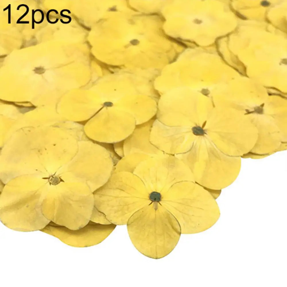 décoration intérieure fleurs artificielles couleurs variées motifs végétaux opaques bricolage coquilles téléphones