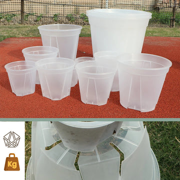 pot culture plastique transparent plantes fleurs jardinnière semis pot fleurs