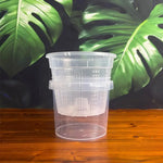 pot fleurs transparent absorption automatique eau grille perforations moderne plastiqueDecorationPlantes
