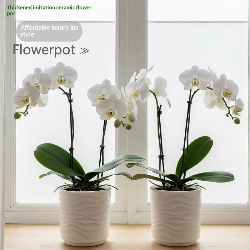 pots fleurs forme vague blanc crème motif texturé orchidées plantes vertes décoration intérieure
