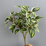 plantes artificielles feuilles vertes tiges blanches moderne minimaliste extérieur décoration