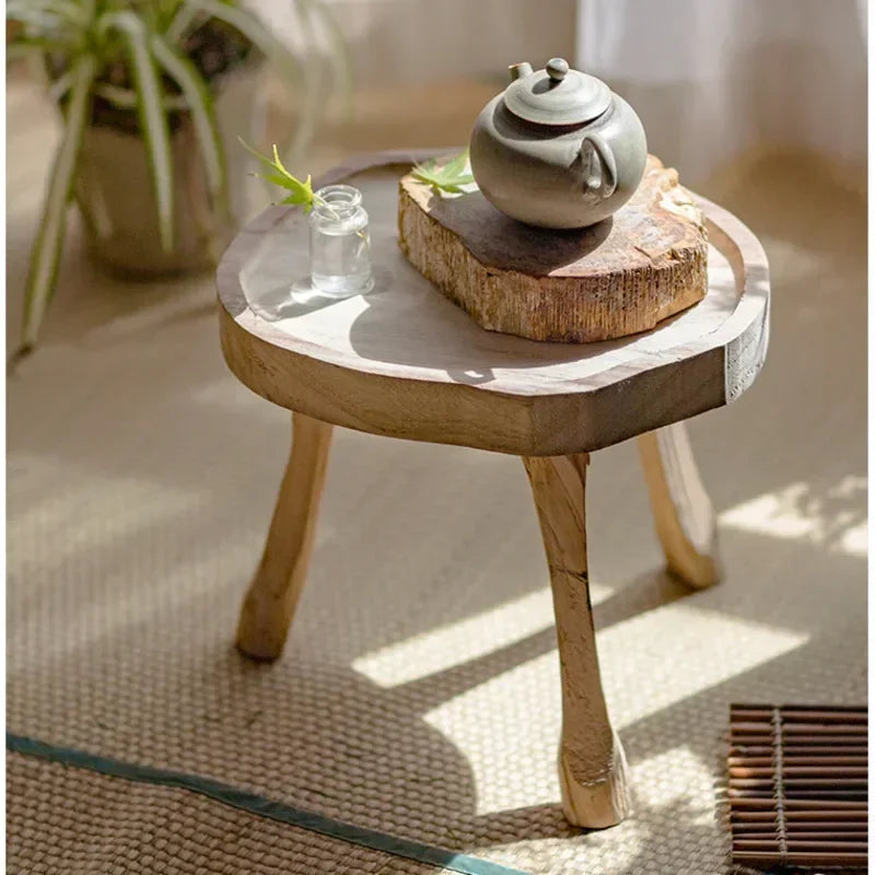 table basse rustique bois naturel minimaliste intérieur décoration plantes vases accessoires zen